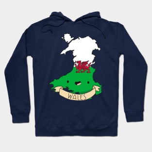 Kawaii Wales Flag Map Hoodie